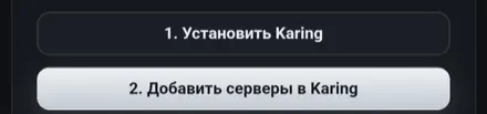 Кнопка «Добавить серверы в Karing» в кабинете
